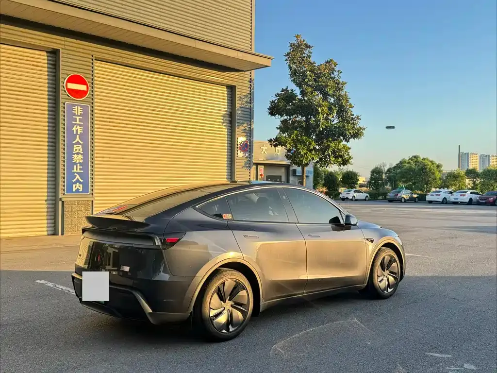 Tesla Model Y — фото 9