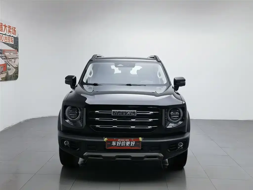Haval Big Dog 2023 из CN, фото 5