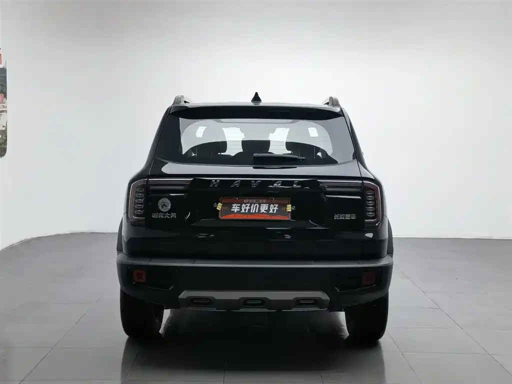 Haval Big Dog 2023 из CN, фото 3