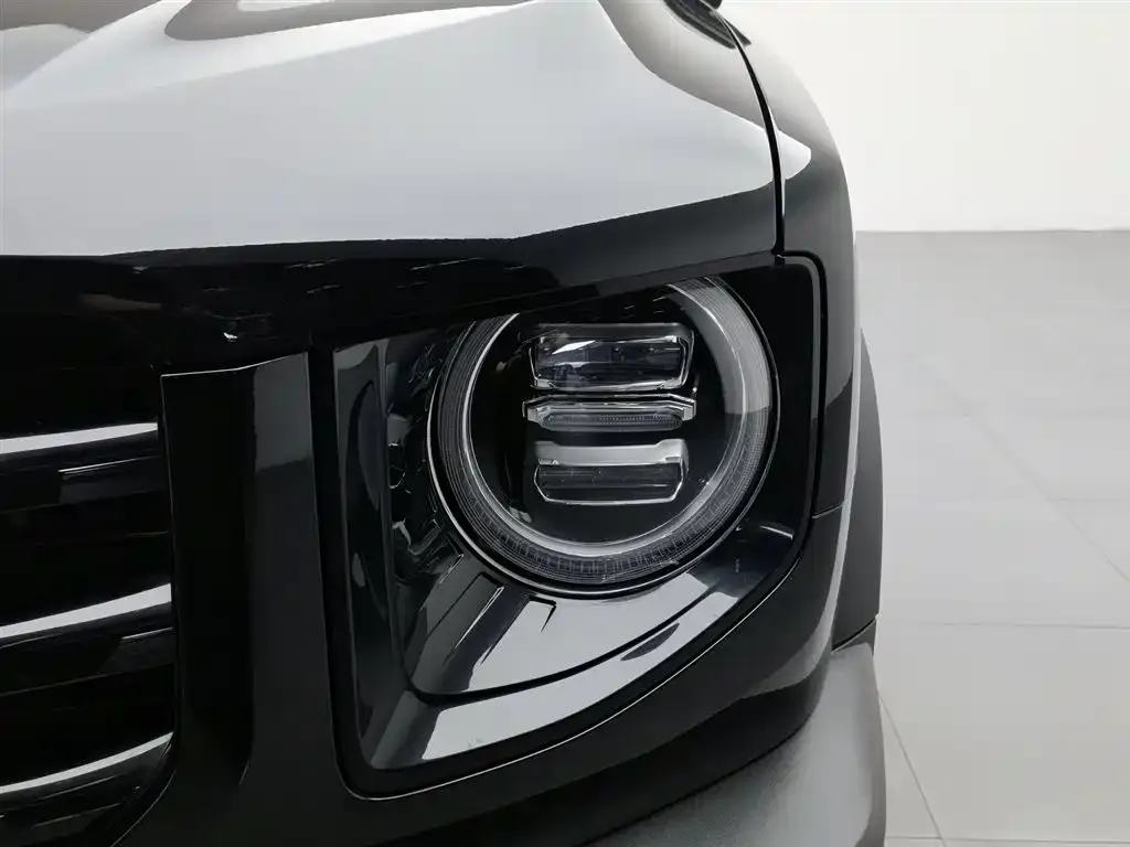 Haval Big Dog 2023 из CN, фото 6