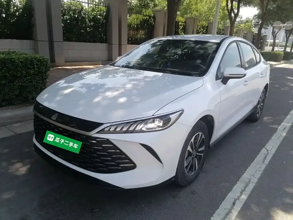 BYD Qin PLUS — фото 1