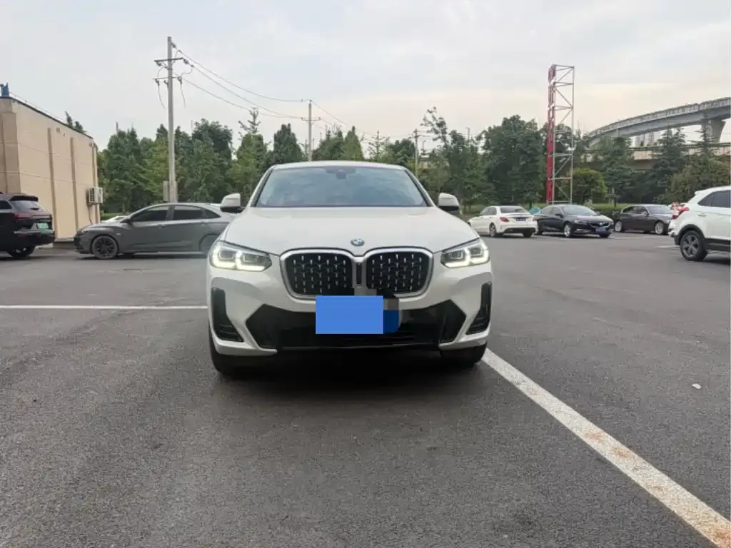 BMW X4 2022 из CN, фото 5