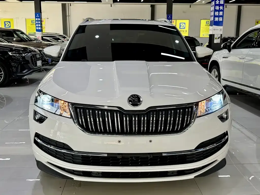 Skoda Karoq — фото 6