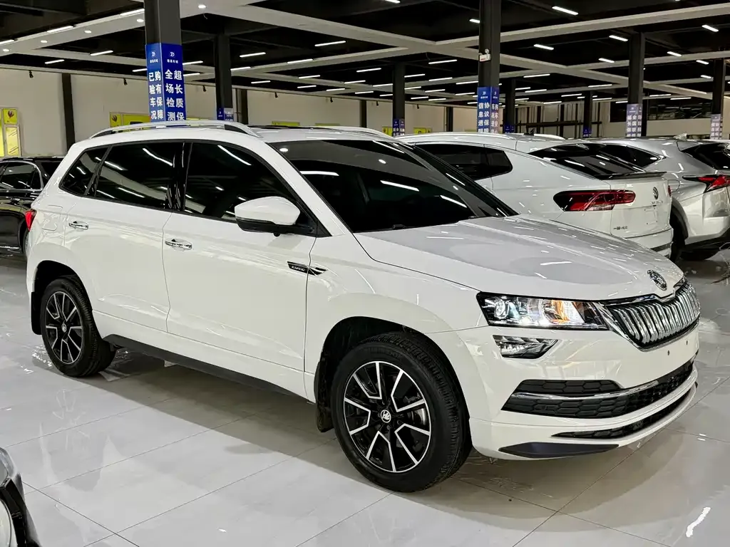 Skoda Karoq — фото 4