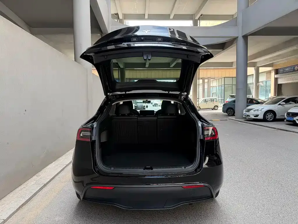 Tesla Model Y — фото 9