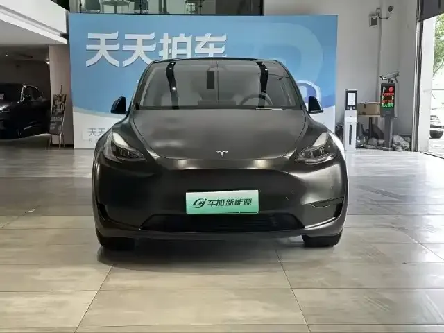 Tesla Model Y — фото 2