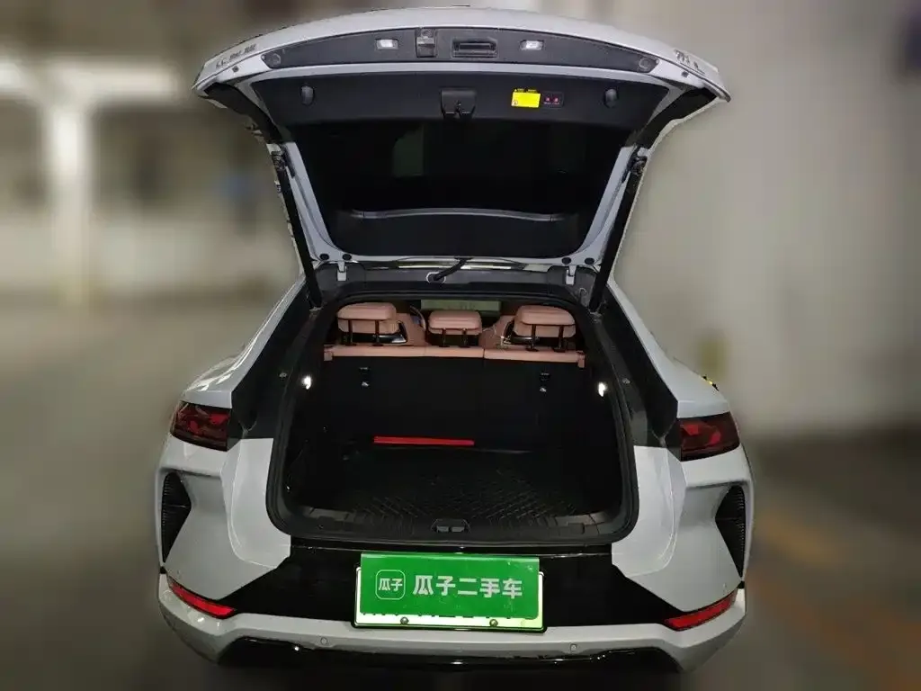 BYD L EV 2025 из CN, фото 6
