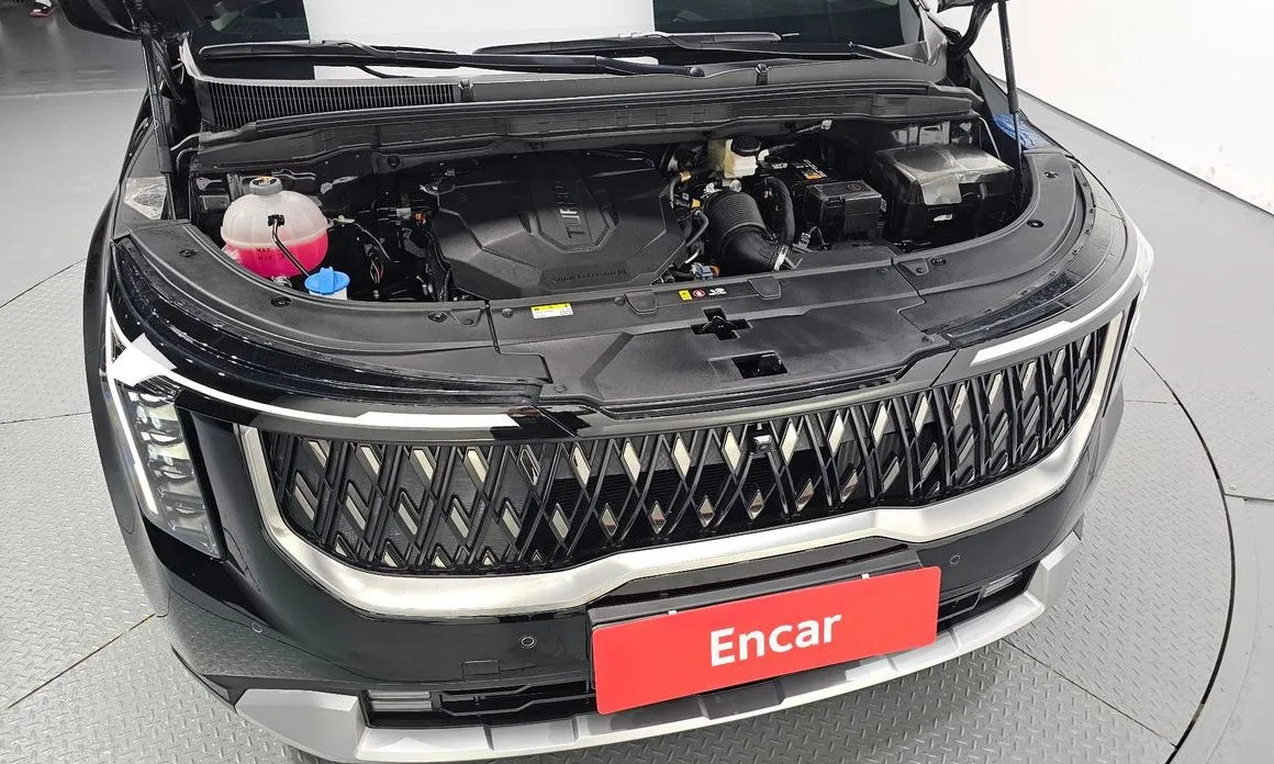 Kia Carnival — фото 10