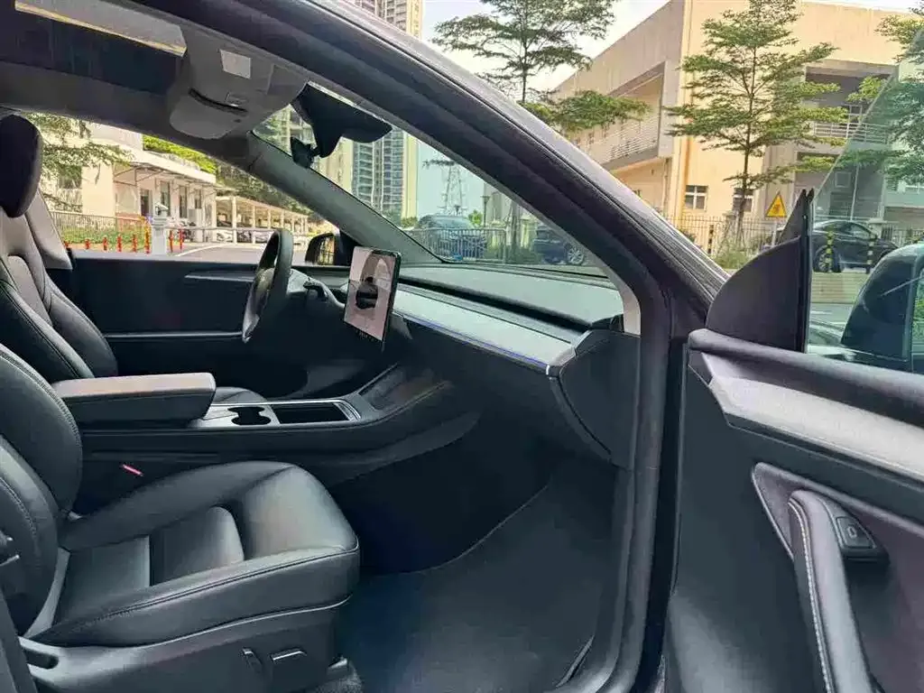 Tesla Model Y — фото 10