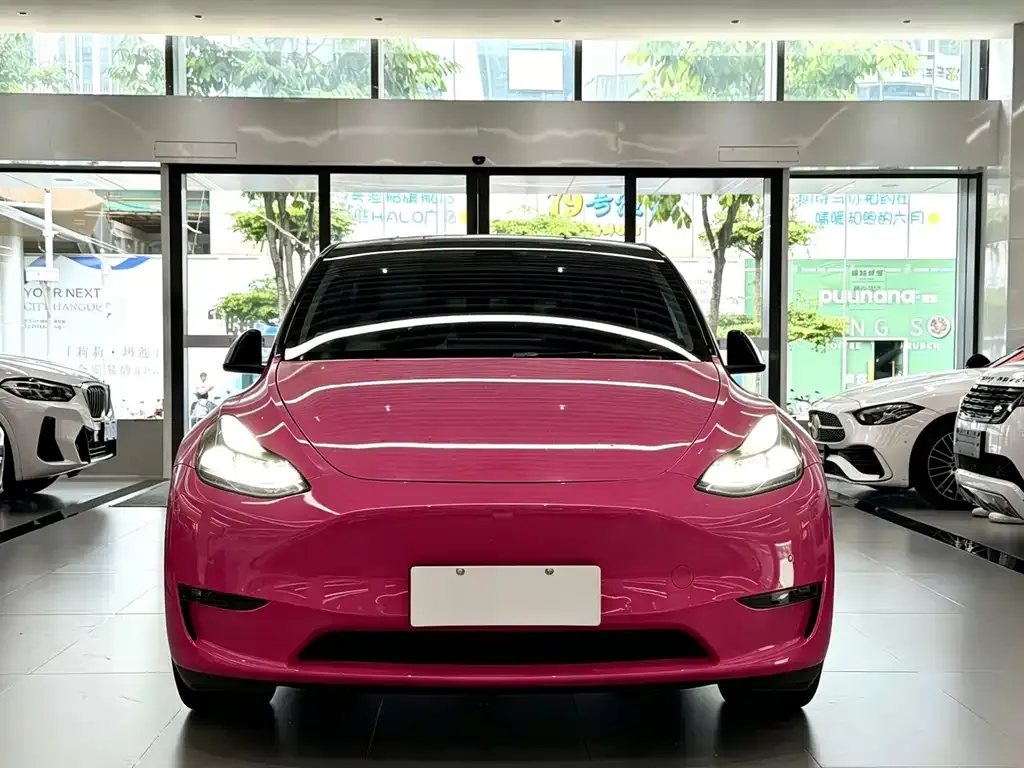 Tesla Model Y — фото 8