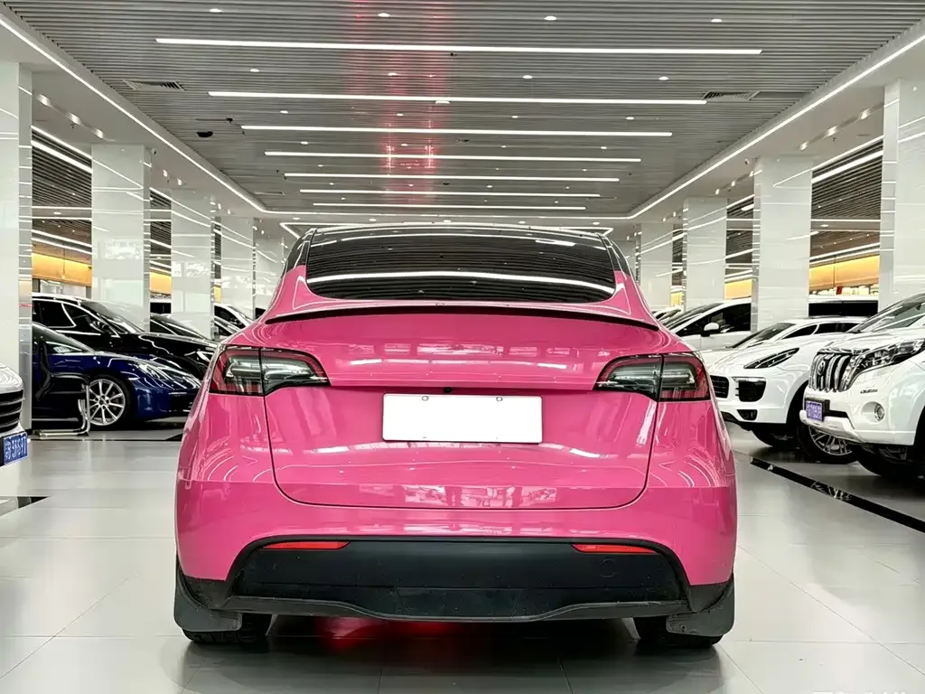 Tesla Model Y — фото 5