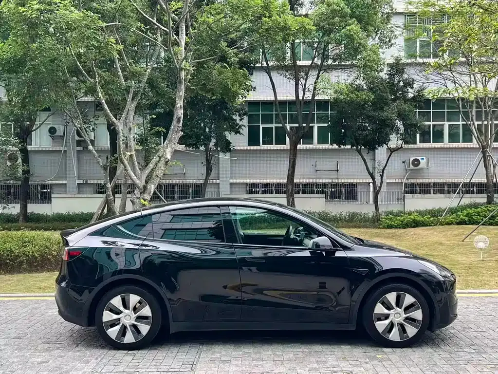 Tesla Model Y — фото 8