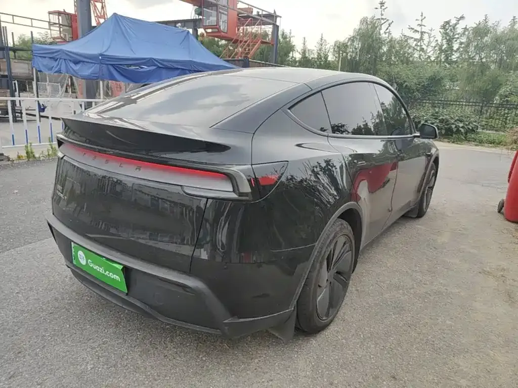 Tesla Model Y — фото 9