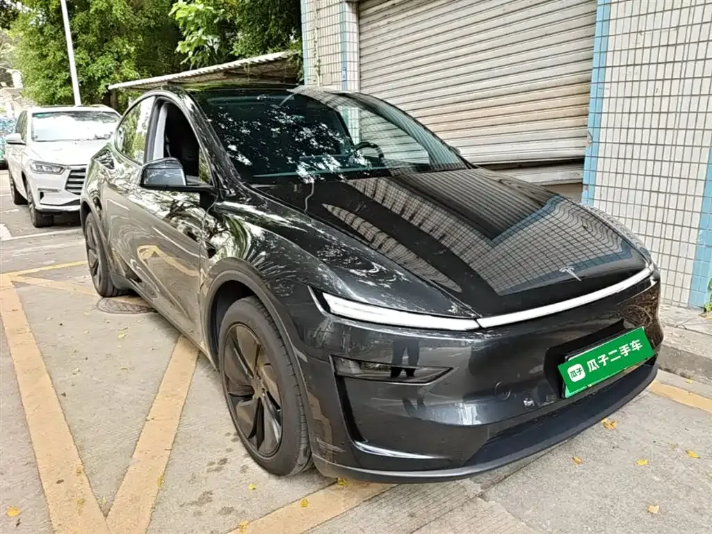 Tesla Model Y — фото 9
