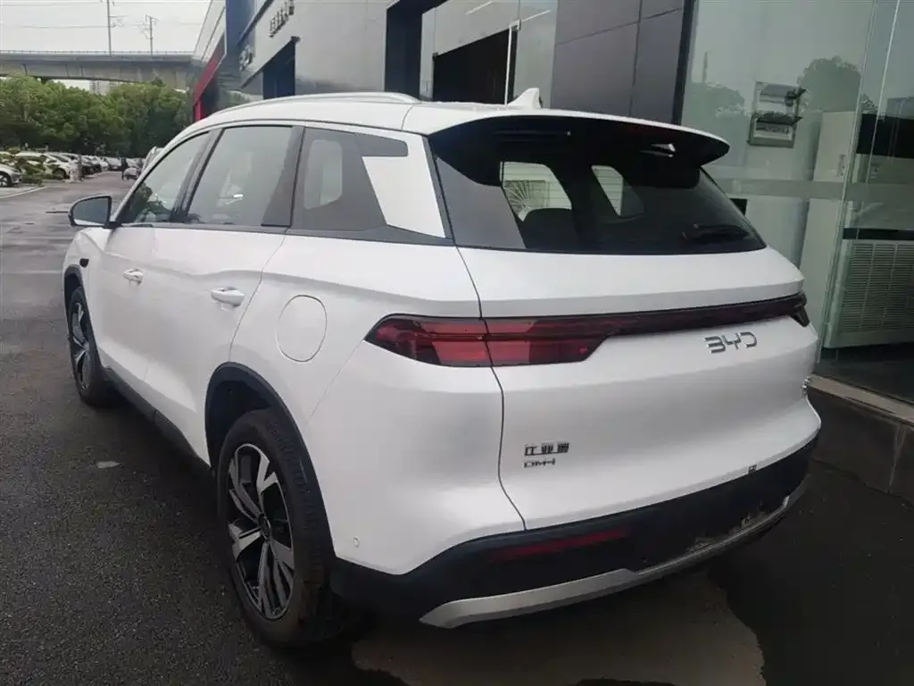 BYD Pro New Energy — фото 2