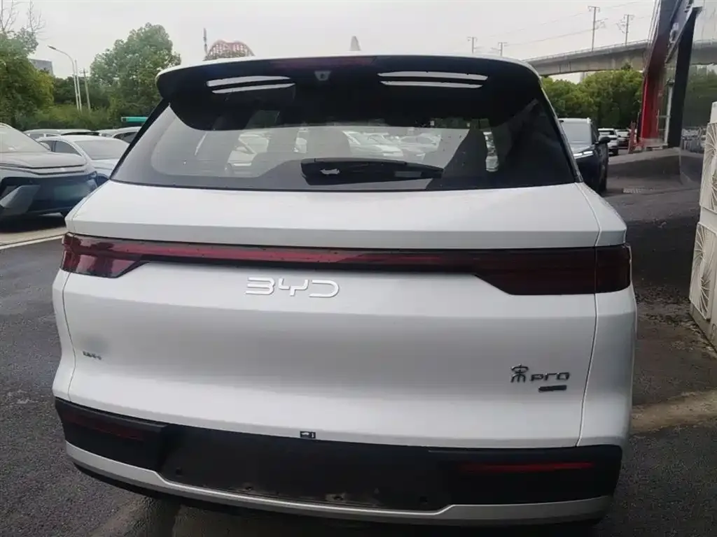 BYD Pro New Energy — фото 4