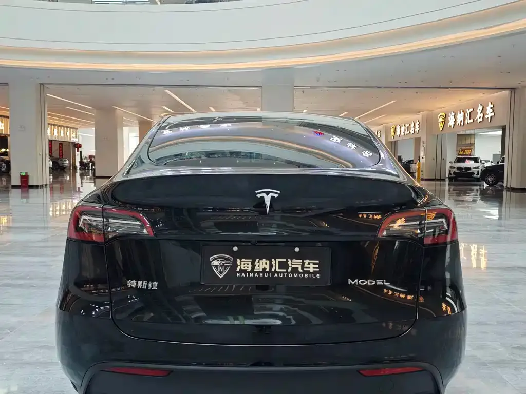 Tesla Model Y — фото 10