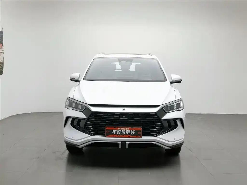 BYD Pro New Energy — фото 5