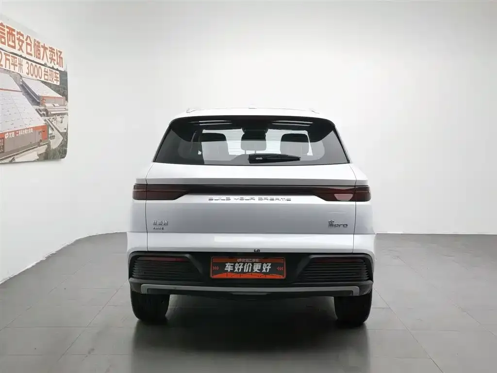 BYD Pro New Energy — фото 2