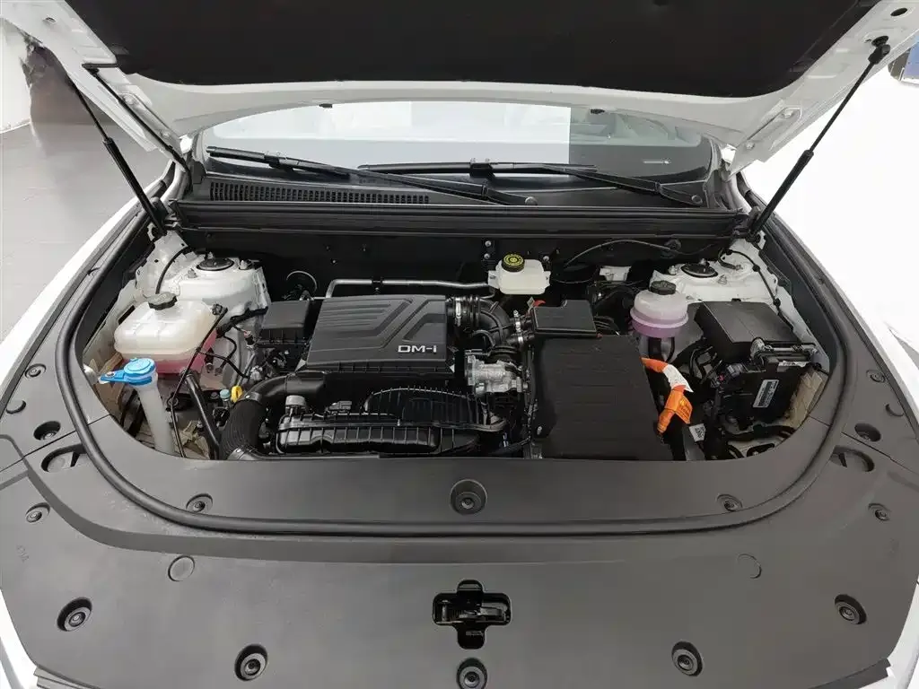 BYD Pro New Energy — фото 10