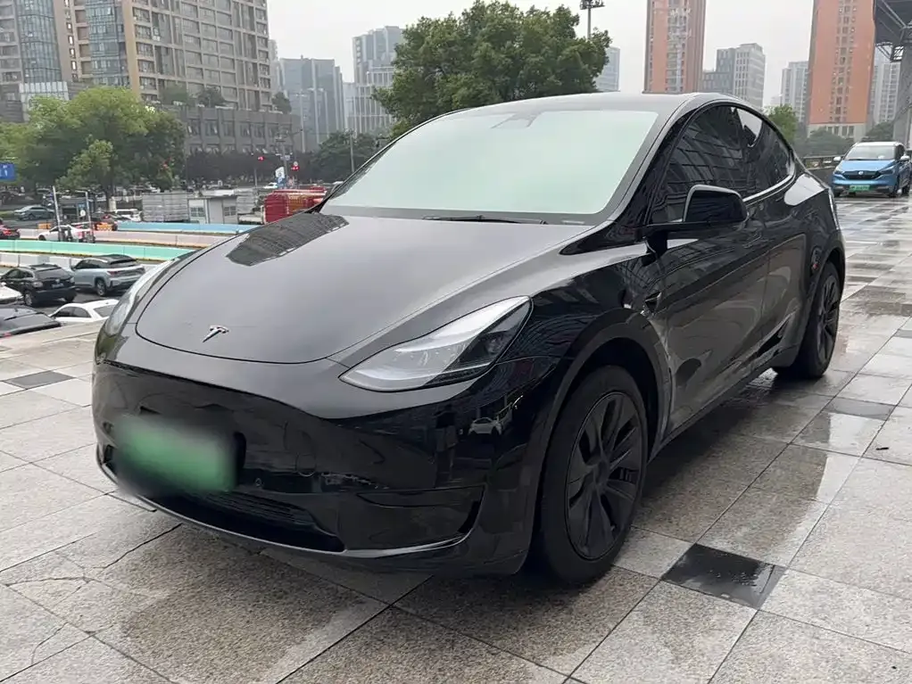 Tesla Model Y — фото 10