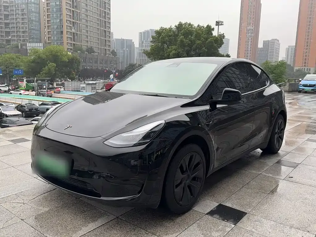 Tesla Model Y — фото 4