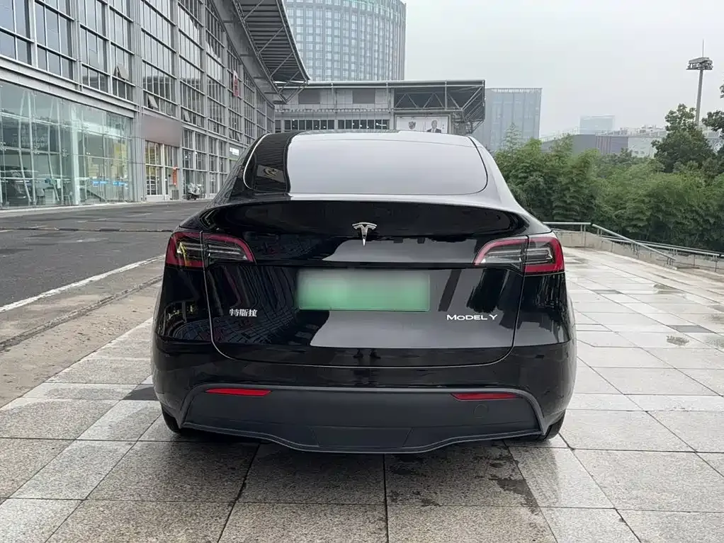 Tesla Model Y — фото 9