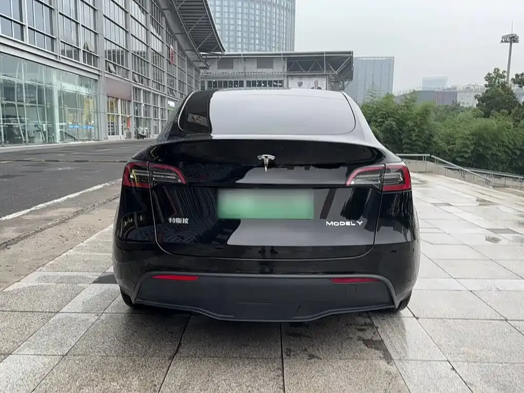 Tesla Model Y — фото 3