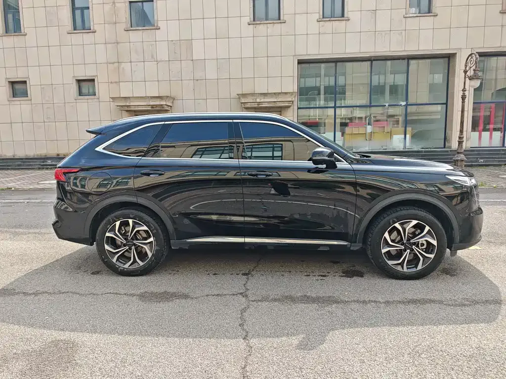 Haval Xiaolong MAX 2024 из CN, фото 4