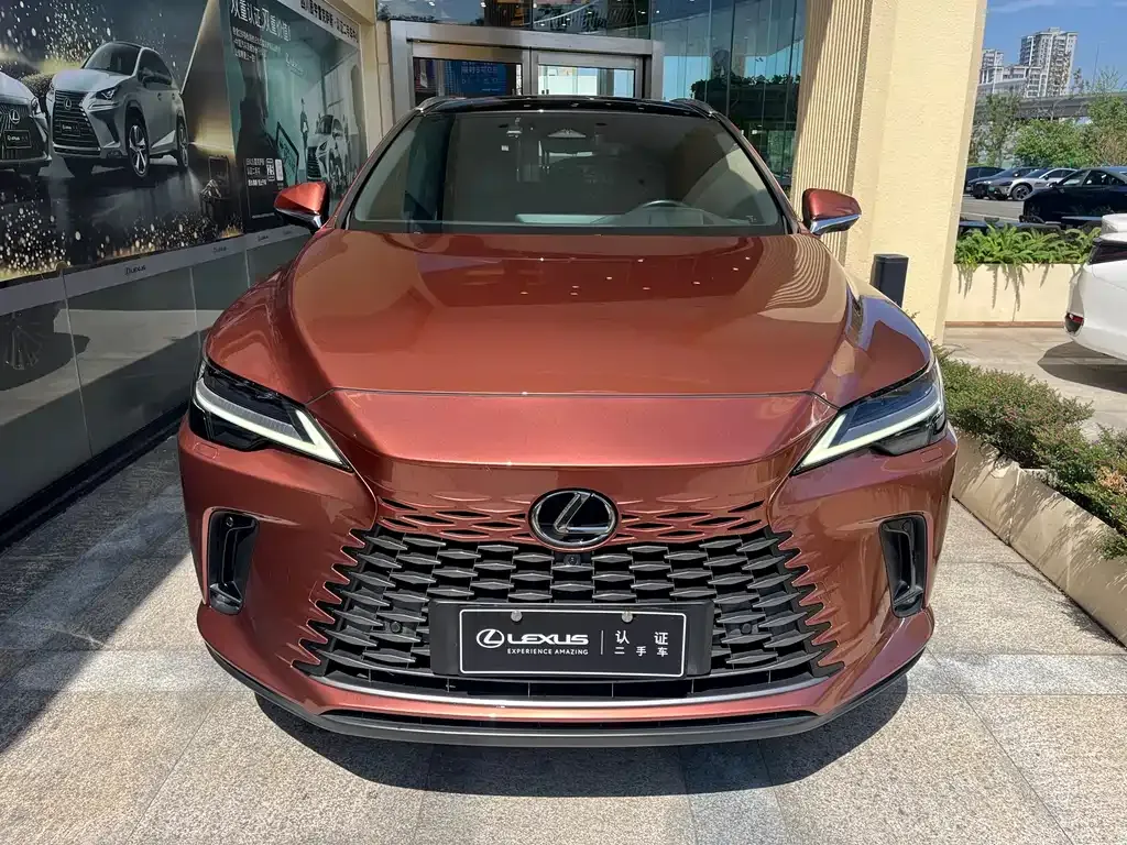 Lexus RX New Energy 2023 из CN, фото 10