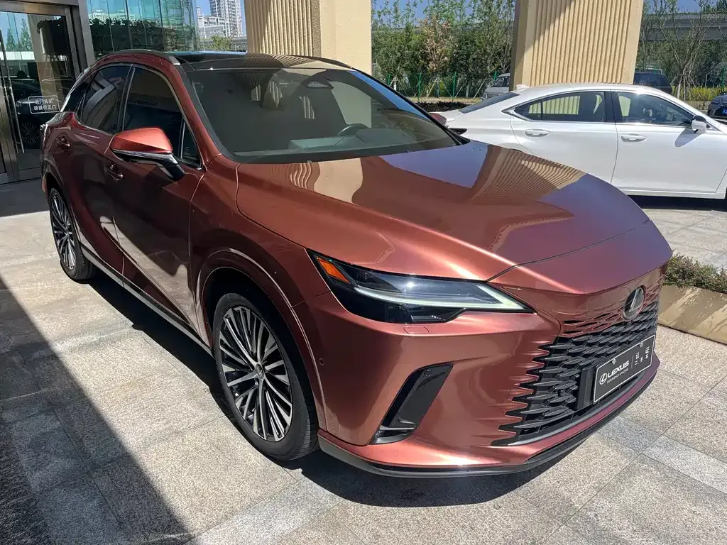 Lexus RX New Energy 2023 из CN, фото 8