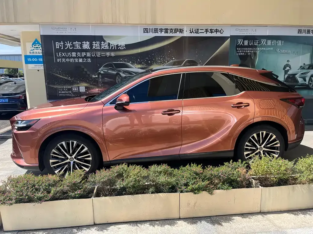 Lexus RX New Energy 2023 из CN, фото 5