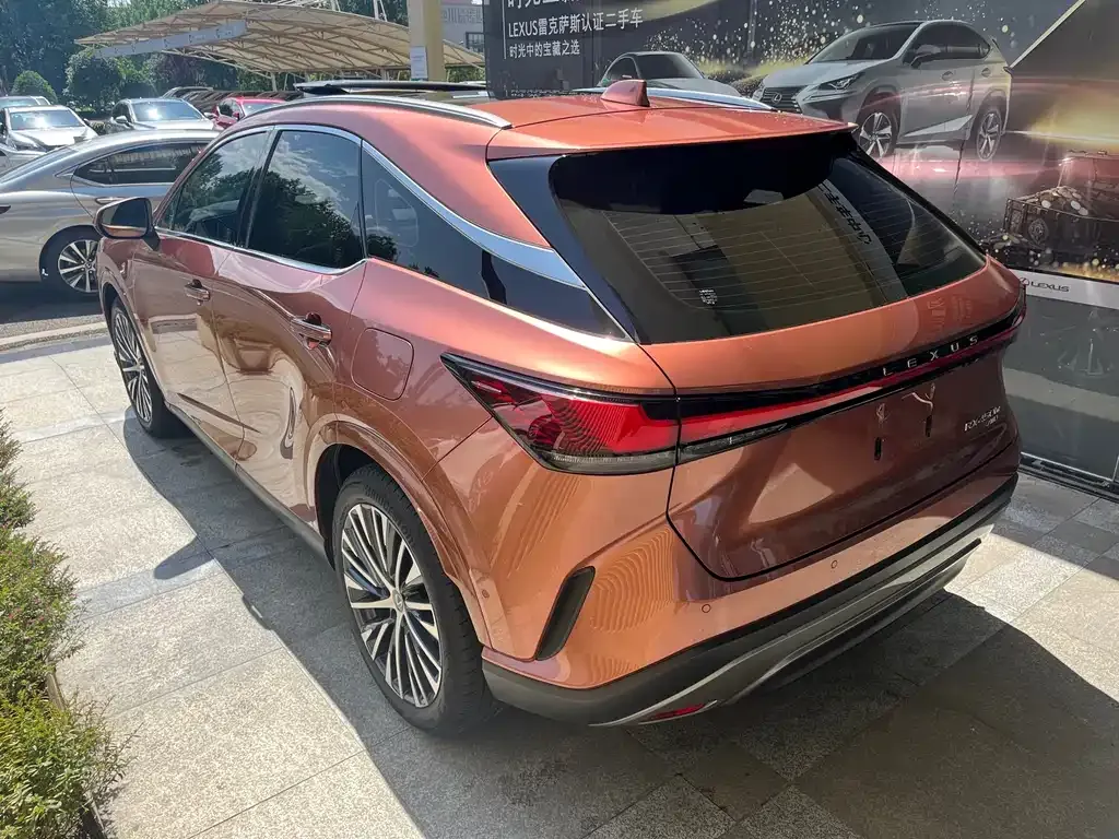 Lexus RX New Energy 2023 из CN, фото 7
