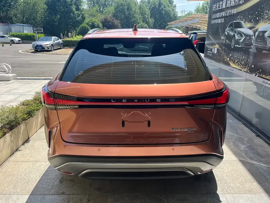 Lexus RX New Energy 2023 из CN, фото 6