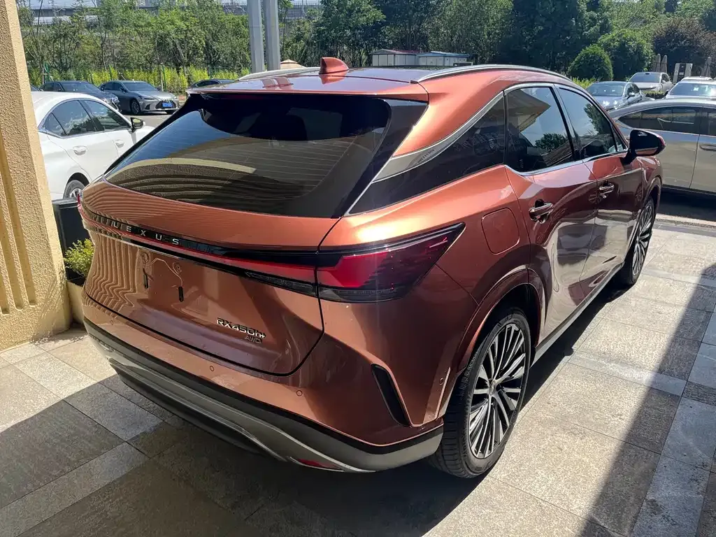 Lexus RX New Energy 2023 из CN, фото 9