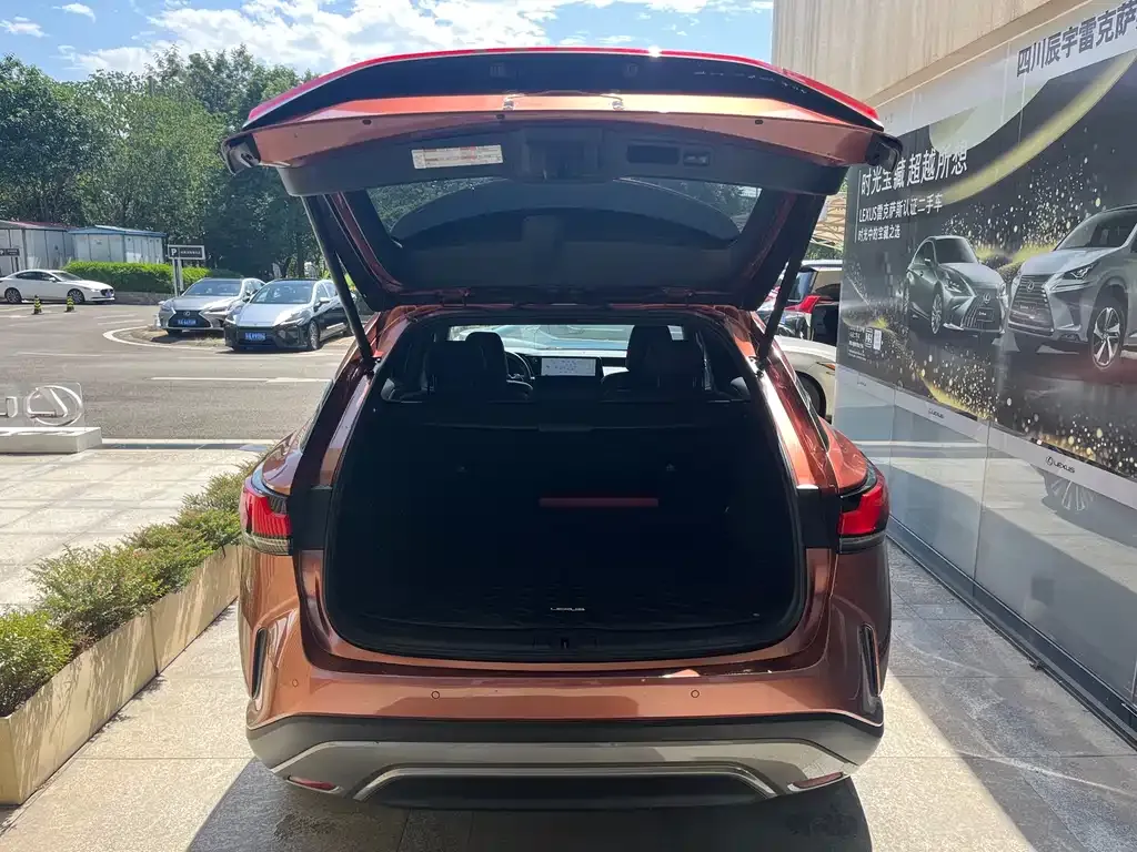 Lexus RX New Energy 2023 из CN, фото 3