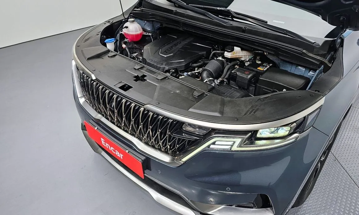 Kia Carnival — фото 10