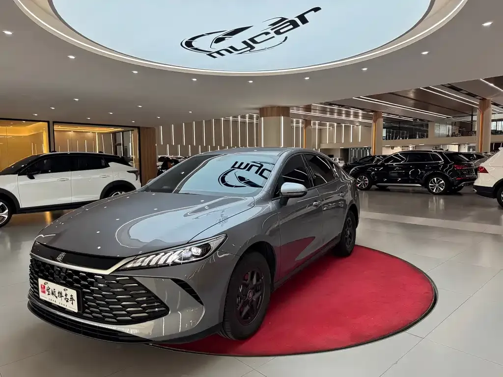BYD Qin PLUS — фото 1
