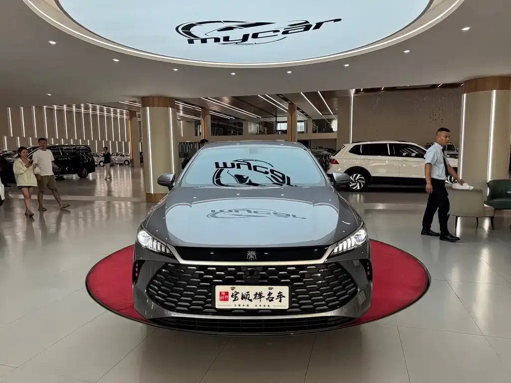 BYD Qin PLUS — фото 9