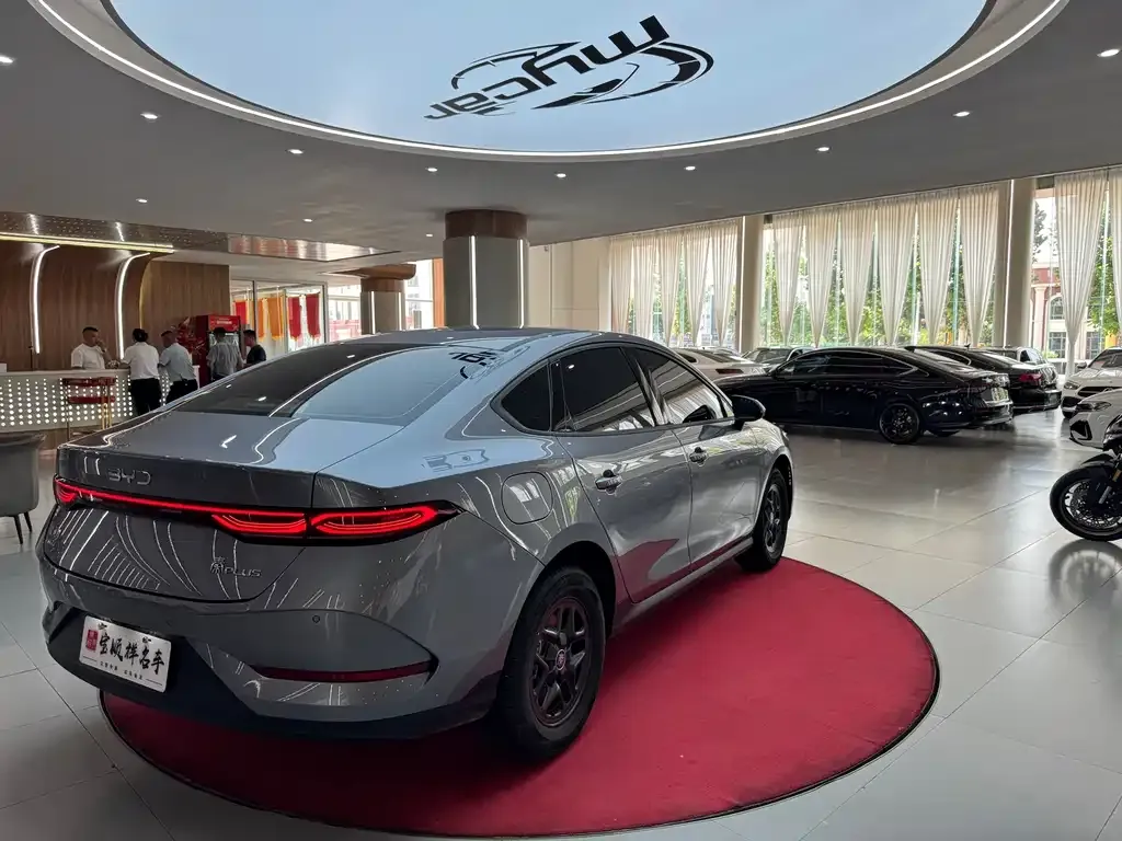 BYD Qin PLUS — фото 7
