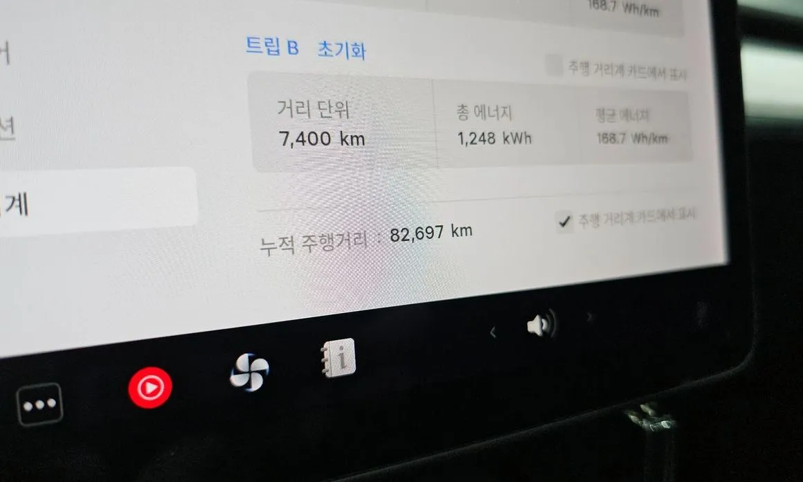 Tesla Model Y 2021 из KR, фото 4