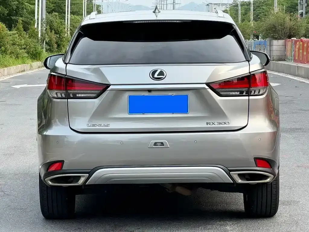 Lexus RX — фото 7