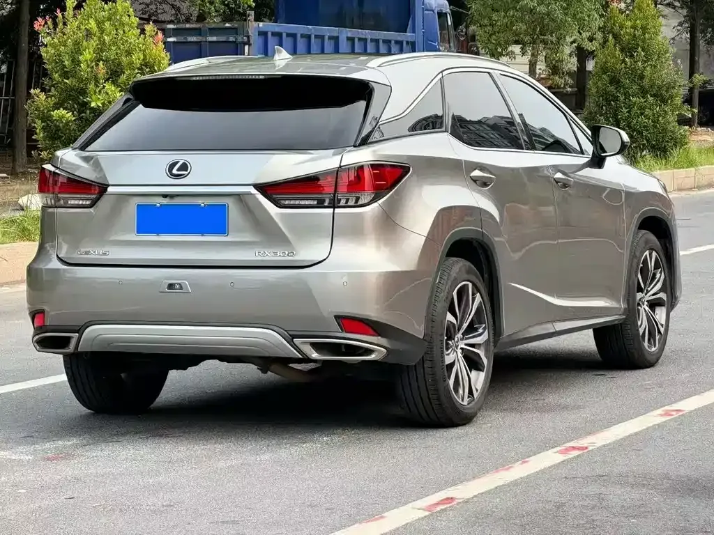 Lexus RX — фото 9