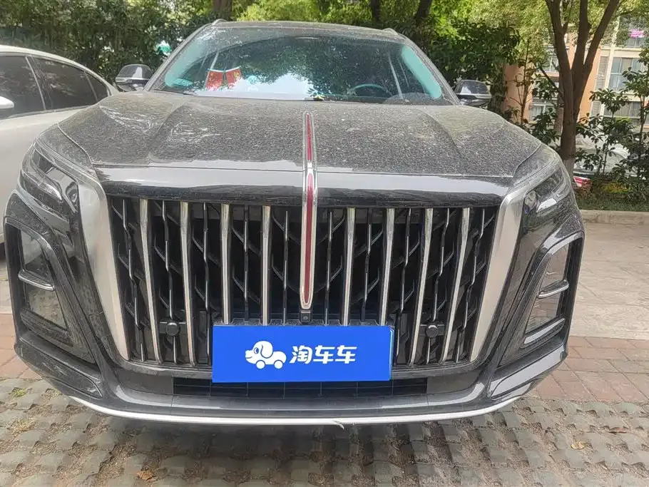 Hongqi HS3 2024 из CN, фото 8