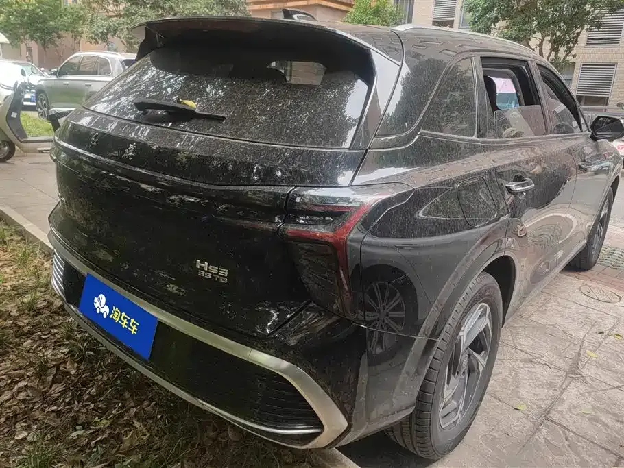 Hongqi HS3 2024 из CN, фото 9