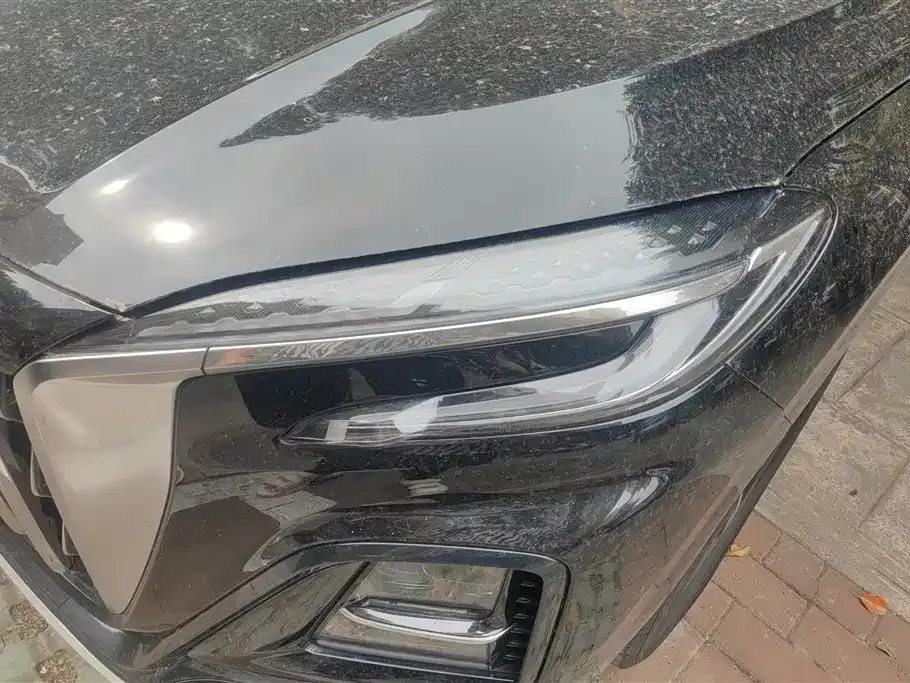 Hongqi HS3 2024 из CN, фото 6