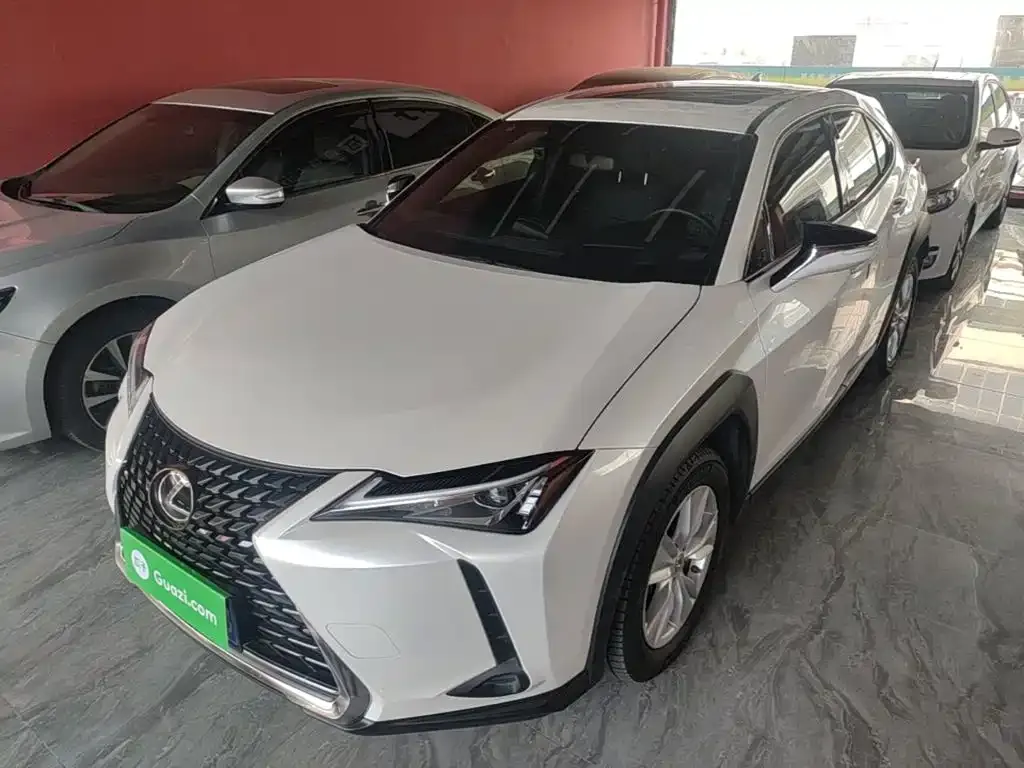 Lexus UX 2021 из CN, фото 7
