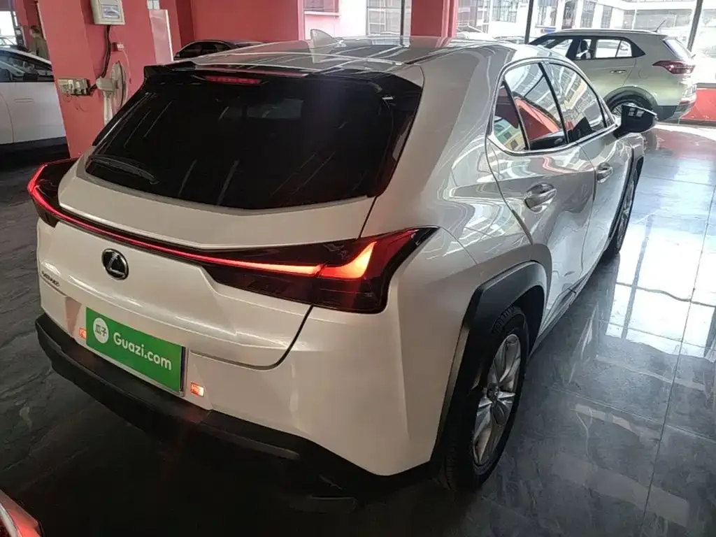 Lexus UX 2021 из CN, фото 6