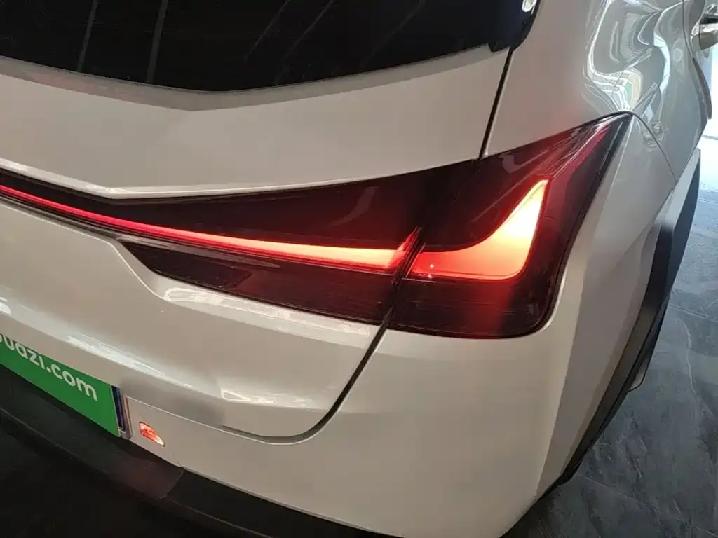 Lexus UX 2021 из CN, фото 9