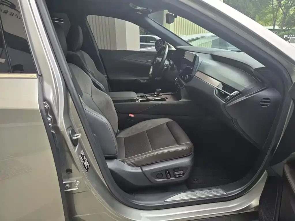 Lexus RX New Energy 2023 из CN, фото 4